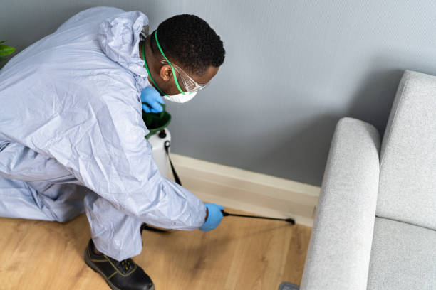 Best Fumigation Services  in Aventura, FL